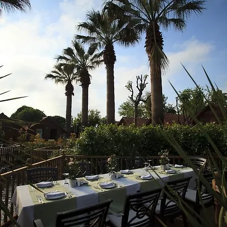 Garden سيدي