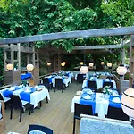 Garden 4* 锡德