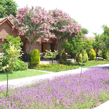 منتجع Garden