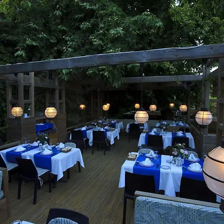 Resort Garden
